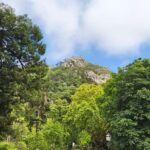 Sintra & Cascais with pastry and electric car. Day Trip - Deep Dive into the Experience: What Makes It Stand Out