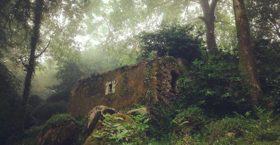 Sintra Guided Visit: Life and Death at the Capuchos Convent - Practical Tips and Considerations