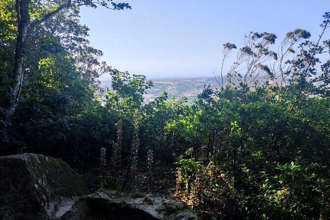 Sintra Private Hiking Adventure Tour - Practical Details and Considerations