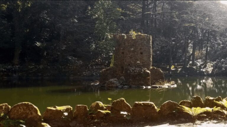 Sintra: Private Palaces, Moorish Castle, and Roca Cape Tour - What’s Included and What’s Not