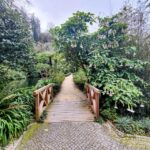 Sintra: Queluz Palace, Biester Palace, and Colares Winery - Is It Worth The Price?