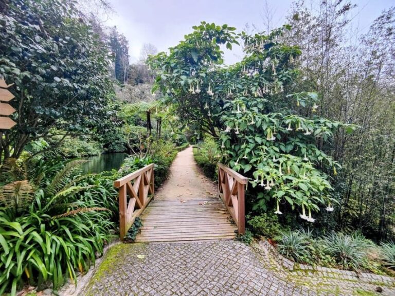 Sintra: Queluz Palace, Biester Palace, and Colares Winery - Is It Worth The Price?