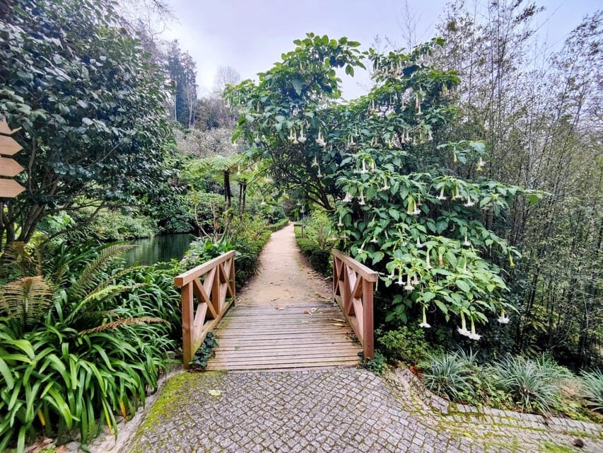 Sintra: Queluz Palace, Biester Palace, and Colares Winery - Is It Worth The Price?