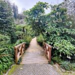 Sintra's Mystical Palaces: Private Walking Tour - What Does the Price Get You?