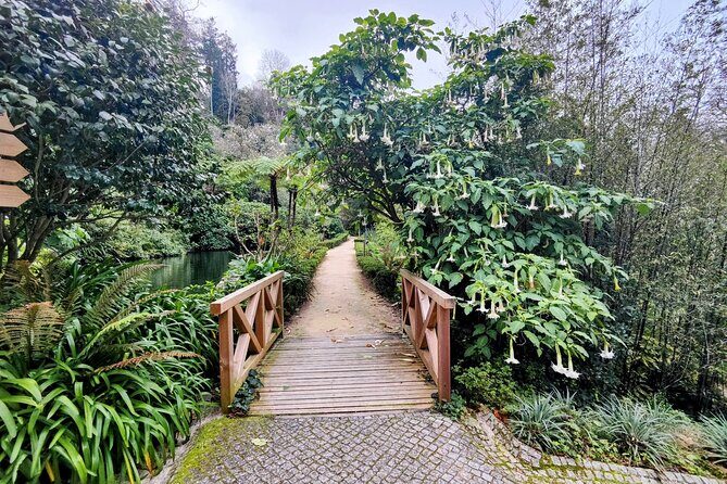 Sintra's Mystical Palaces: Private Walking Tour - What Does the Price Get You?