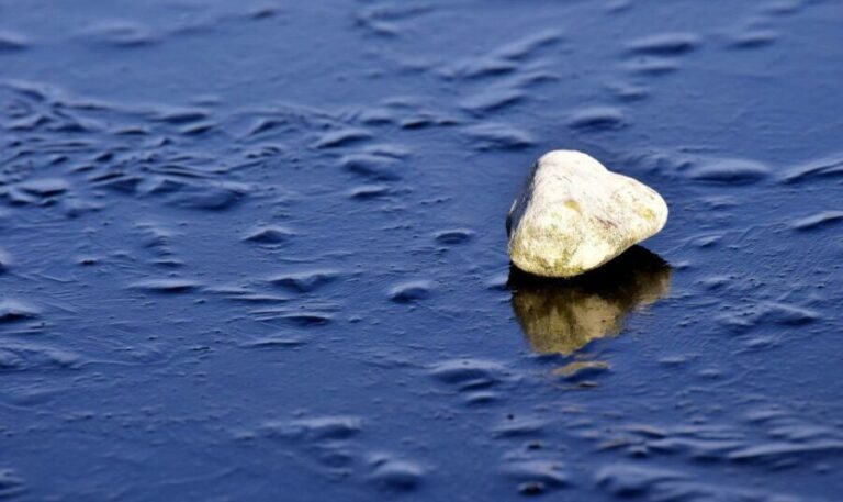 Sip & Savor: Ston and Peljesac Vineyards Extravaganza - How We View the Value and Overall Experience