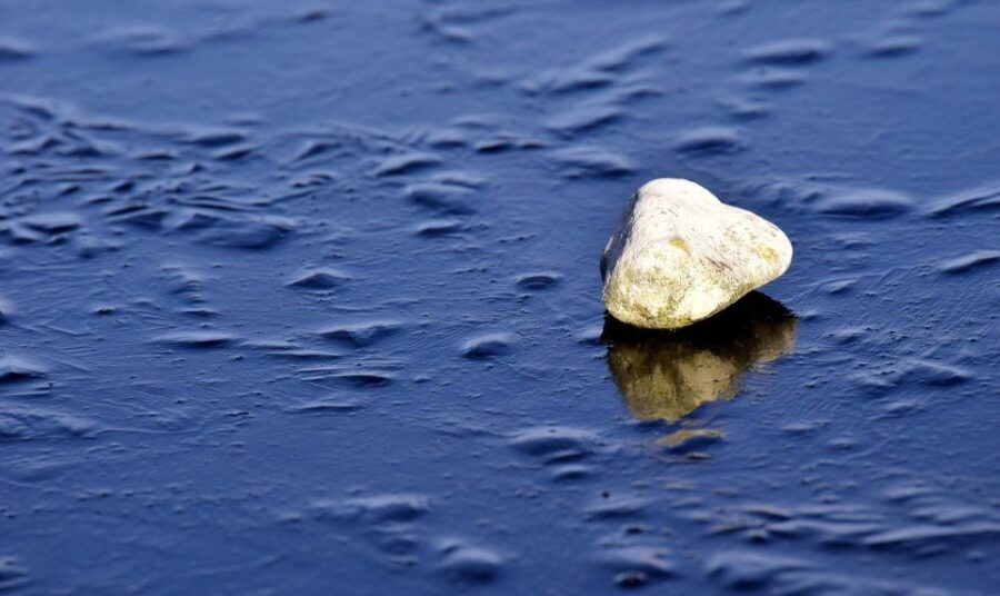 Sip & Savor: Ston and Peljesac Vineyards Extravaganza - How We View the Value and Overall Experience