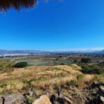 Sip & Savor Tequila Experience Distillery w/ Lunch fr Guadalajara - Strolling Through Tequila Town