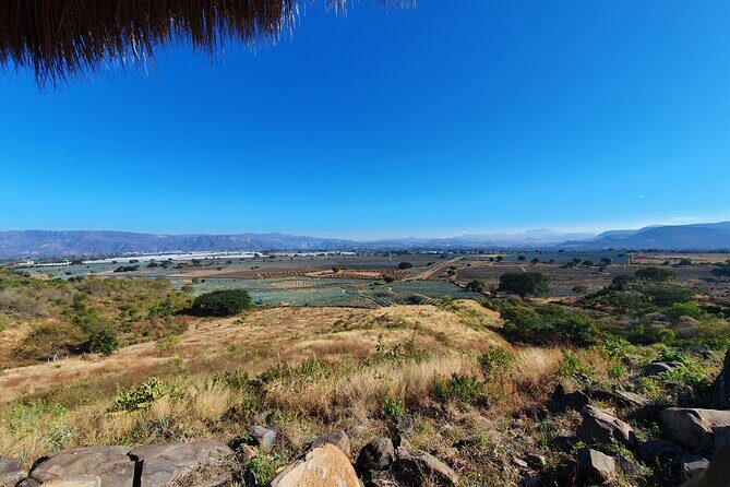 Sip & Savor Tequila Experience Distillery w/ Lunch fr Guadalajara - Strolling Through Tequila Town