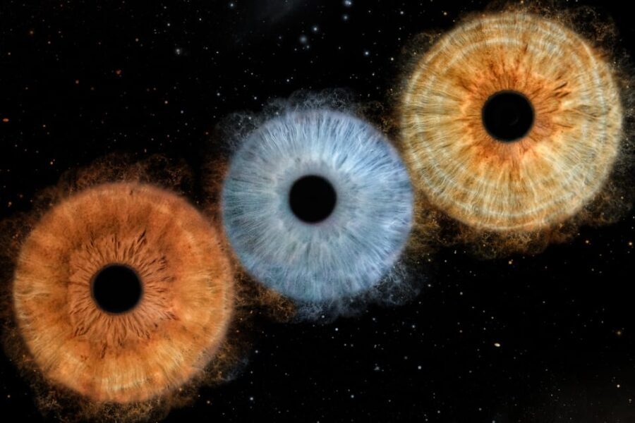 Siracusa Iris Photography Experience - Why This Experience Might Appeal to You