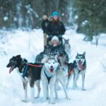 Sirkka: Husky Sled Ride in Levi - FAQs