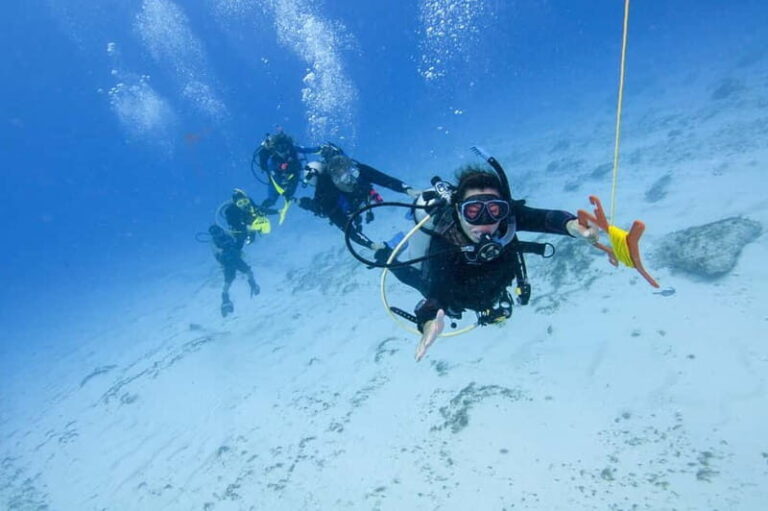 Sithonia: 1 Guided Shore Dive for Certified Divers - The Details That Matter