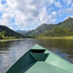 Skadar Lake Boat Tour with Transfer from Podgorica - Is It Worth the Price?