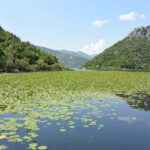Skadar Lake full-day tour from Kotor - The Practical Side: How the Tour Works