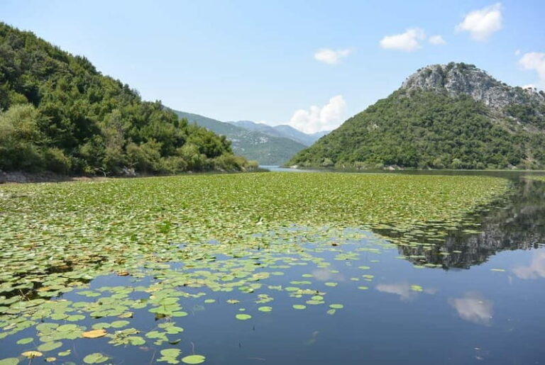 Skadar Lake full-day tour from Kotor - The Practical Side: How the Tour Works