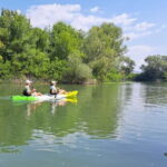 Skadar Lake kayak rent: A Journey Through Tranquility - Practical Details That Matter