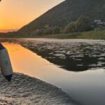 Skadar Lake Private Boat Tour with Wine Tasting - What to Expect from the Experience
