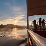 Skadar Lake Private Boat Tour with Wine Tasting - Detailed Breakdown of the Itinerary