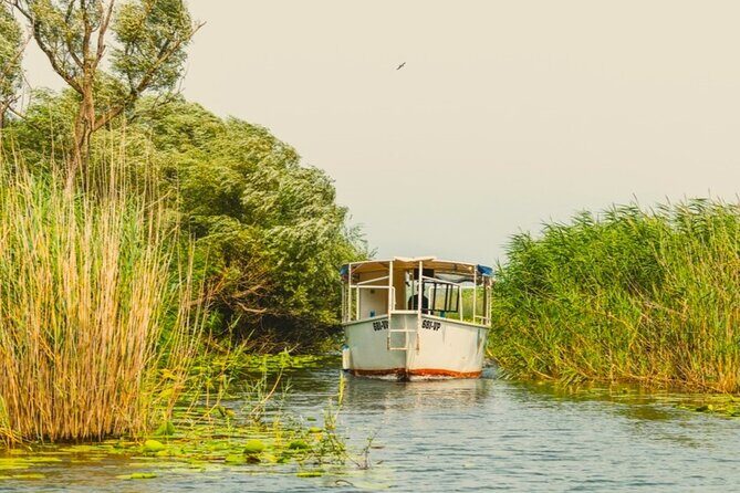 Skadar Lake Short Guided Tour: Discover the Montenegrin Alcatraz - Who Should Consider This Tour?