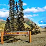 Skagway Shore Excursion: Full-Day Tour of the Yukon - What Travelers Say