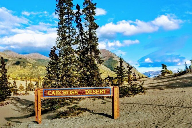 Skagway Shore Excursion: Full-Day Tour of the Yukon - What Travelers Say