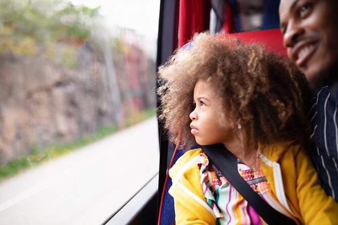 Skavsta Airport Bus Transfer - What About Luggage?