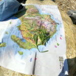 Skiathos: Guided Sea Kayaking Tour with Swim Stop - The Itinerary: What to Expect