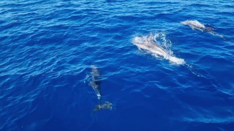 Skiathos private tours :Sailing day with lunch on board, - Value for Money