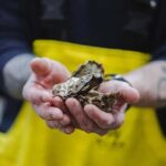 Skibby: Oyster and Blue Mussel Foraging Experience - FAQ