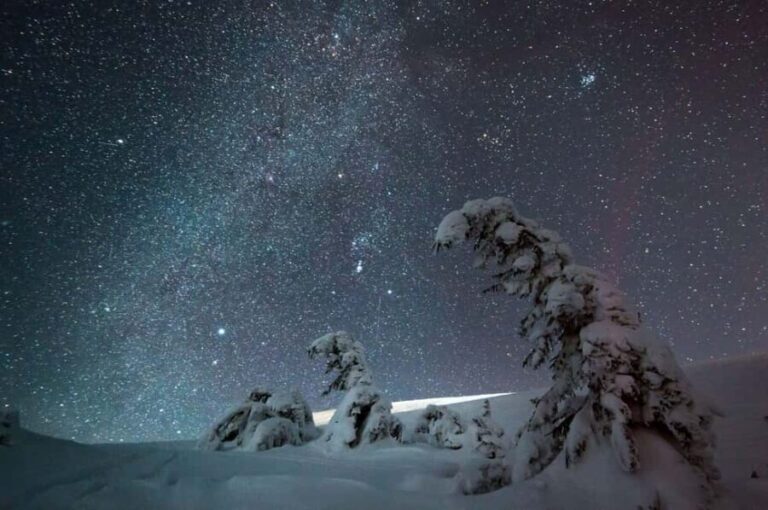 Skiing in Riisitunturi NP at Night & Wilderness Dinner - The Arctic Night Sky and Its Wonders