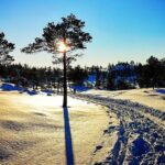 Skiing in winter wonderland - Value for Money