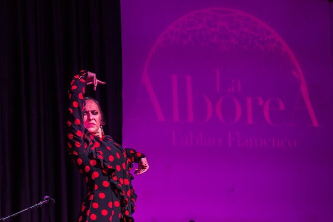 Skip the Line: Authentic Flamenco in Granada Ticket - The Performance Itself: What Youll See and Feel