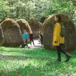 Skip the Line: Europos Parkas, Open-Air Museum Ticket Vilnius, Lithuania - Practical Details: What to Know Before You Go