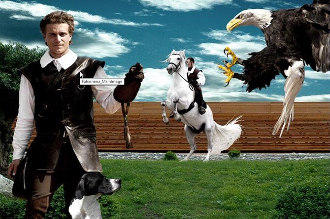 Skip the Line: Falconeria Locarno Ticket - Who Will Love This Tour?