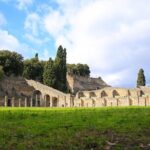 Skip-the-Line Half-Day Private Tour Ancient Pompeii Highlights with Native Guide - Who Should Consider This Tour?