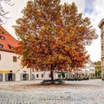 Skip-the-line Jewish Museum & Jewish Quarter Guided Tour - Who Will Get the Most Out of This Experience?