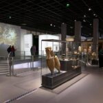Skip the Line: Museum of Romanity Ticket - The Sum Up