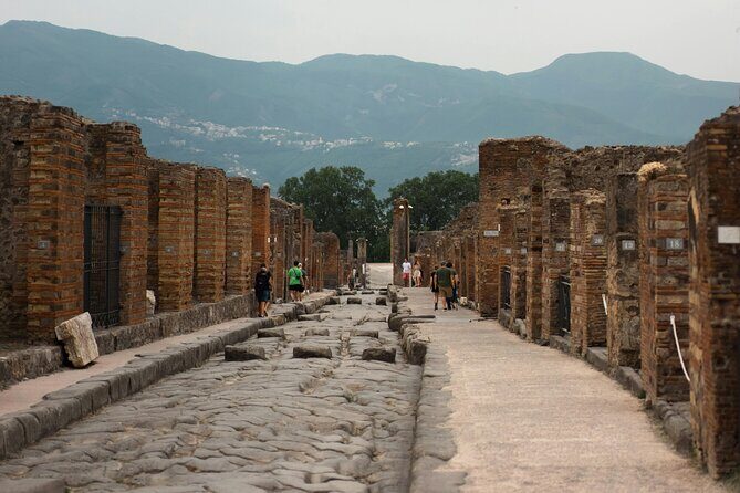 Skip the Line Pompeii Guided Tour Small Group or Private Option - Who Will Love This Tour?