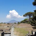 Skip-the-Line Pompeii & Volcano Vesuvius Day Tour w Hotel or Port Pickup - Final Thoughts