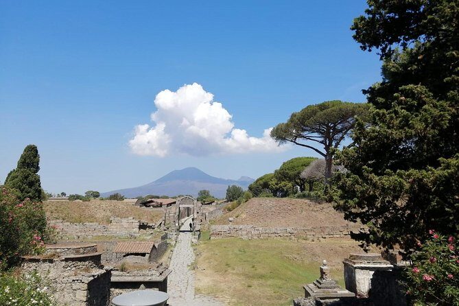 Skip-the-Line Pompeii & Volcano Vesuvius Day Tour w Hotel or Port Pickup - Final Thoughts