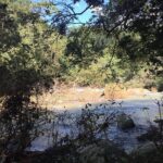 Skip the Line: Vallarta Botanical Garden Admission Ticket - Who Will Enjoy This Tour?