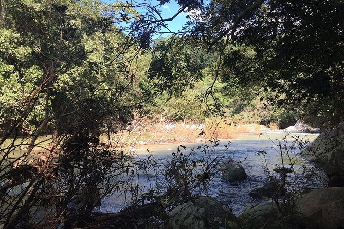 Skip the Line: Vallarta Botanical Garden Admission Ticket - Who Will Enjoy This Tour?