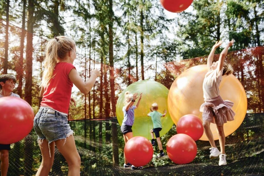 Skjern: WOW PARK Entry Ticket - How Does the Pricing Stack Up?