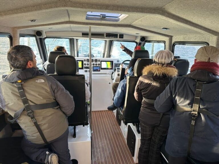 Skjervøy: Orca and Whale-Watching comfort heated Boat Trip - The Authentic Experience of Whale Watching in Norway
