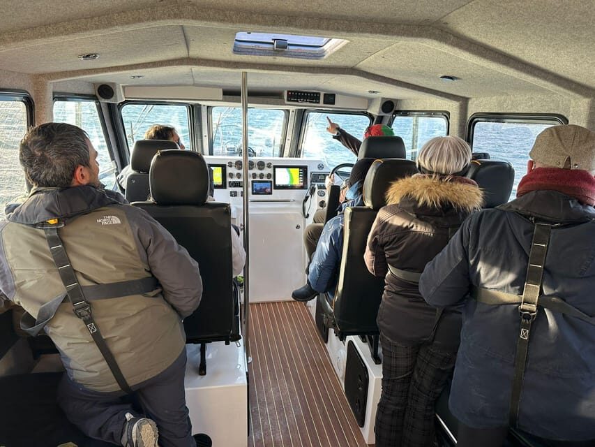 Skjervøy: Orca and Whale-Watching comfort heated Boat Trip - The Authentic Experience of Whale Watching in Norway
