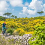 Skopje: Yugoslav Communist Tour on 2 wheels - An Honest Breakdown of the Tour Experience