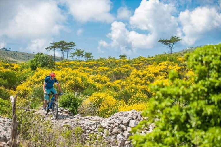 Skopje: Yugoslav Communist Tour on 2 wheels - An Honest Breakdown of the Tour Experience