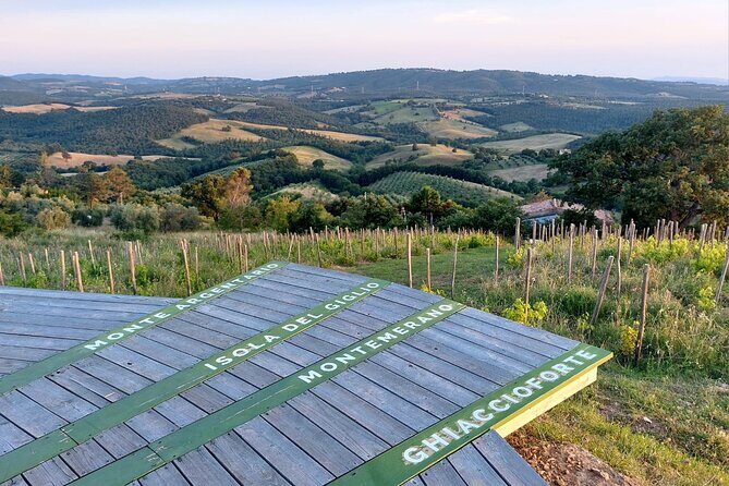 Skydeck - sunset picnic with 360° view of scenic Maremma hills - Final Thoughts