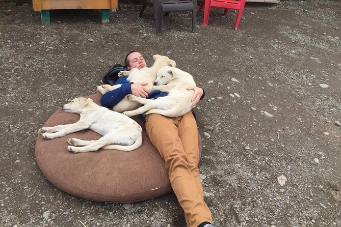 Sled Dog Adventure and Pan for Gold in the Yukon - FAQ