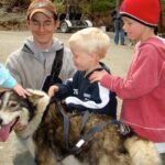 Sled Dog Discovery in Juneau - Who Should Consider This Tour?